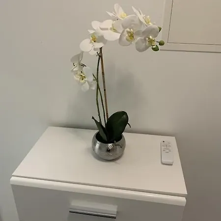 Apartment Der Natur Nahe Und Doch Zentral Kuschliges Am Waldesrand Höchberg